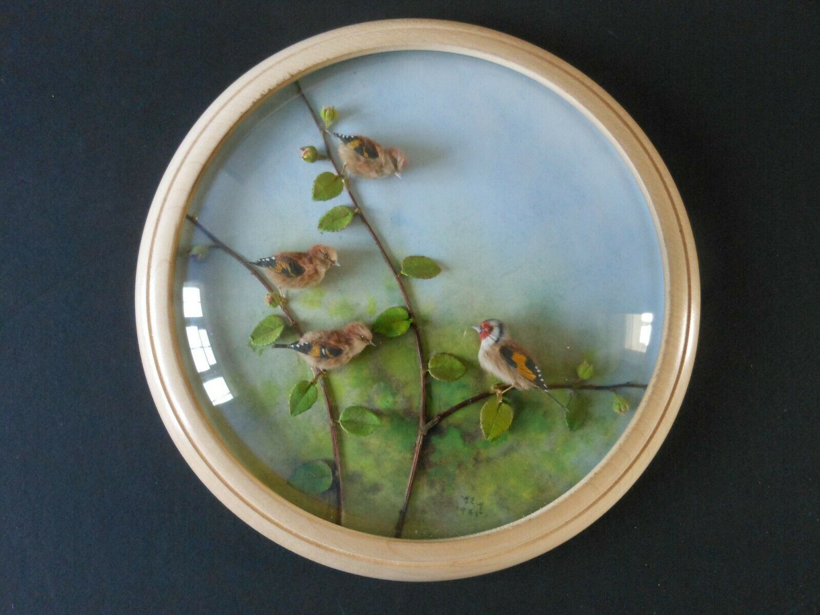 Goldfinch and Young (5-inch)